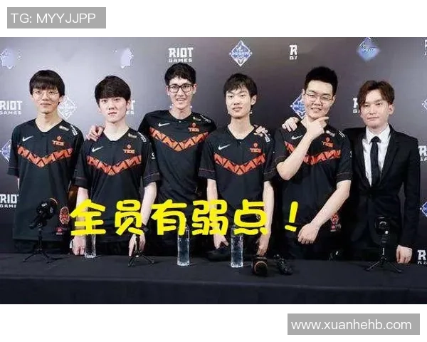 TES战队战术表现深度分析与数据解读探讨