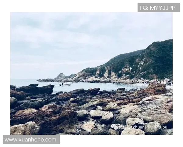 周伟谈攀岩之路：从初学者到顶尖高手的心路历程分享