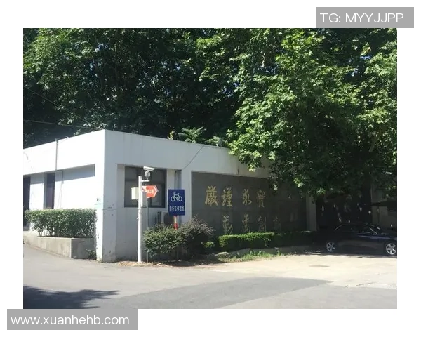 赛后分析南京乒乓球队与广州乒乓球队的战术意识与心理博弈 赛后分析南京乒乓球队与广州乒乓球队的战术意识与心理博弈