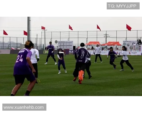 赛后分析:北京飞盘队与南京飞盘队的实力对决与战术较量 赛后分析:北京飞盘队与南京飞盘队的实力对决与战术较量