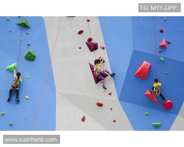 南京攀岩队比赛经验分析与表现总结探讨